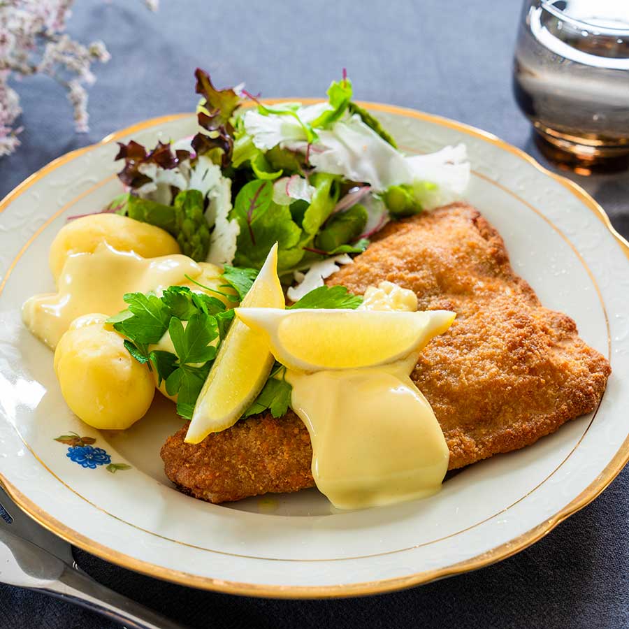 paneretfisk-roedspaette